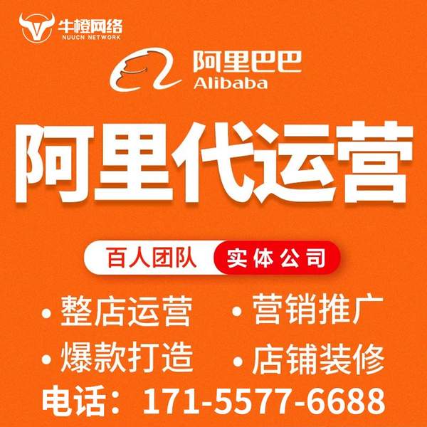 白城电商代运营