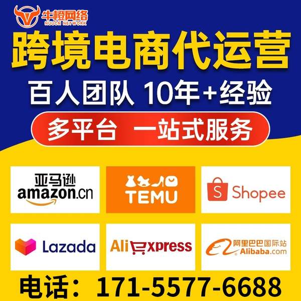 白城电商代运营