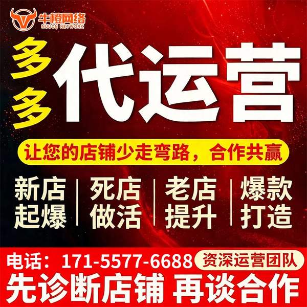 白城电商代运营