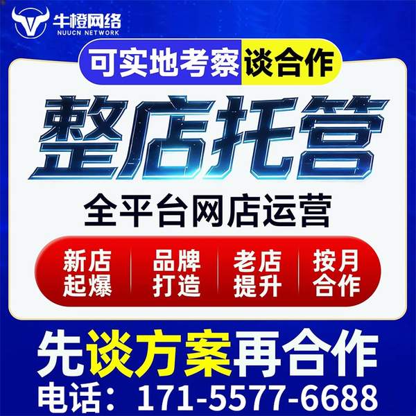 白城电商代运营