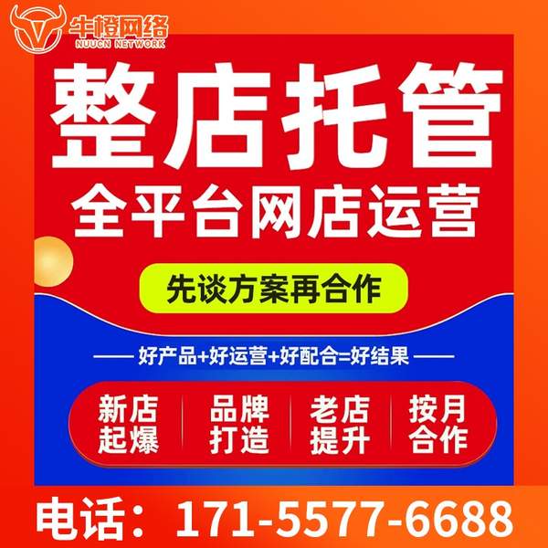 白城电商代运营