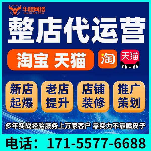 白城电商代运营