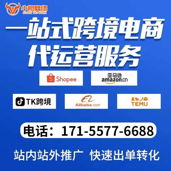白城电商代运营