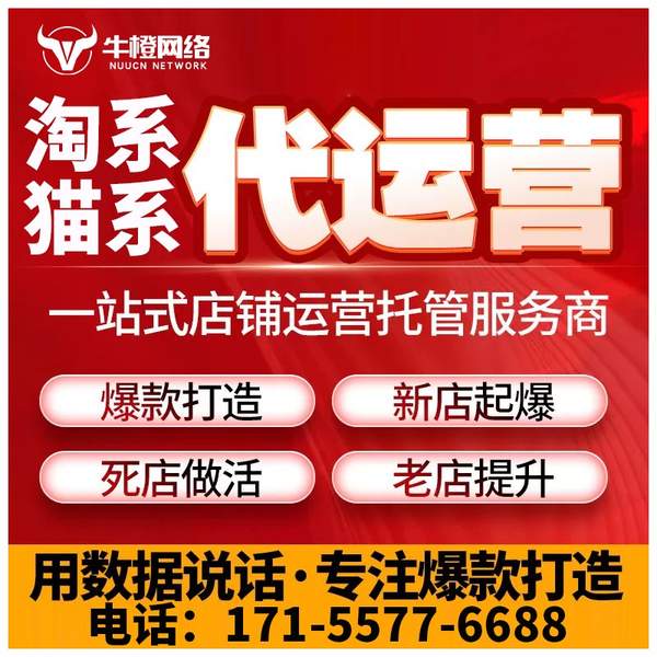 白城电商代运营